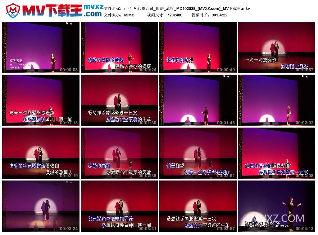 山子华-仰望西藏_国语_流行_MD102038